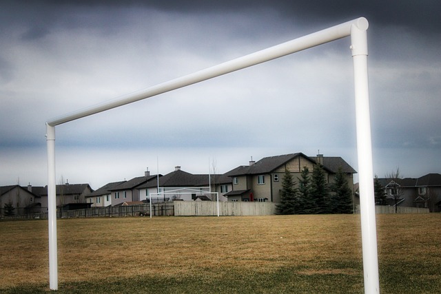 仅让他成为 仅让他成为