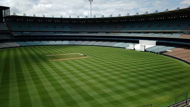 年輕力軍的 年輕力軍的