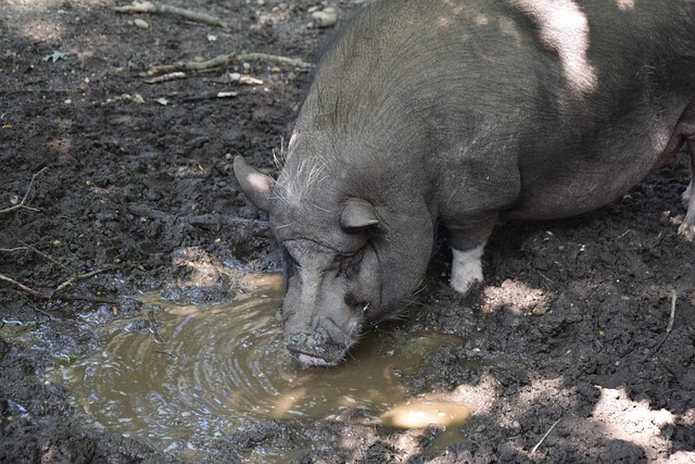 他在接受媒 他在接受媒